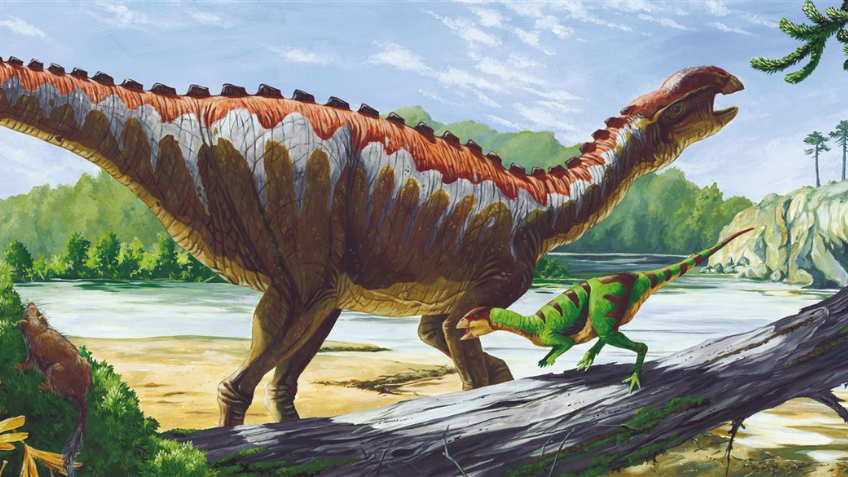 Colour drawing of a dinosaur