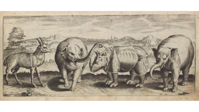 Drawing of elephants and other creatures