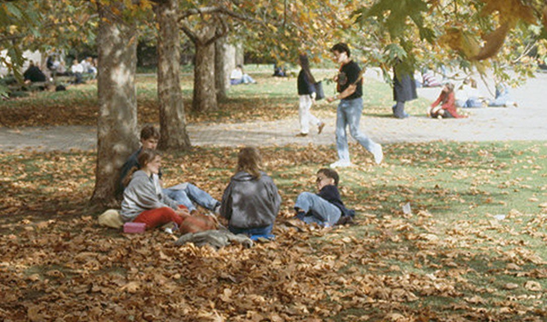 90's style photo of students sat in a park under a tree with falling autumn leaves, chatting casually.