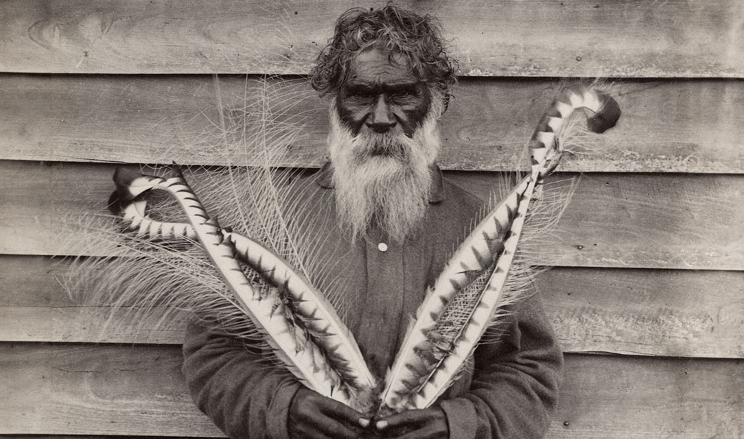 Black-and-white portrait of beruk (William Barak) - Wurundjeri Woi-wurrung artist and the last Ngurungaeta, activist, leader, trailblazer 