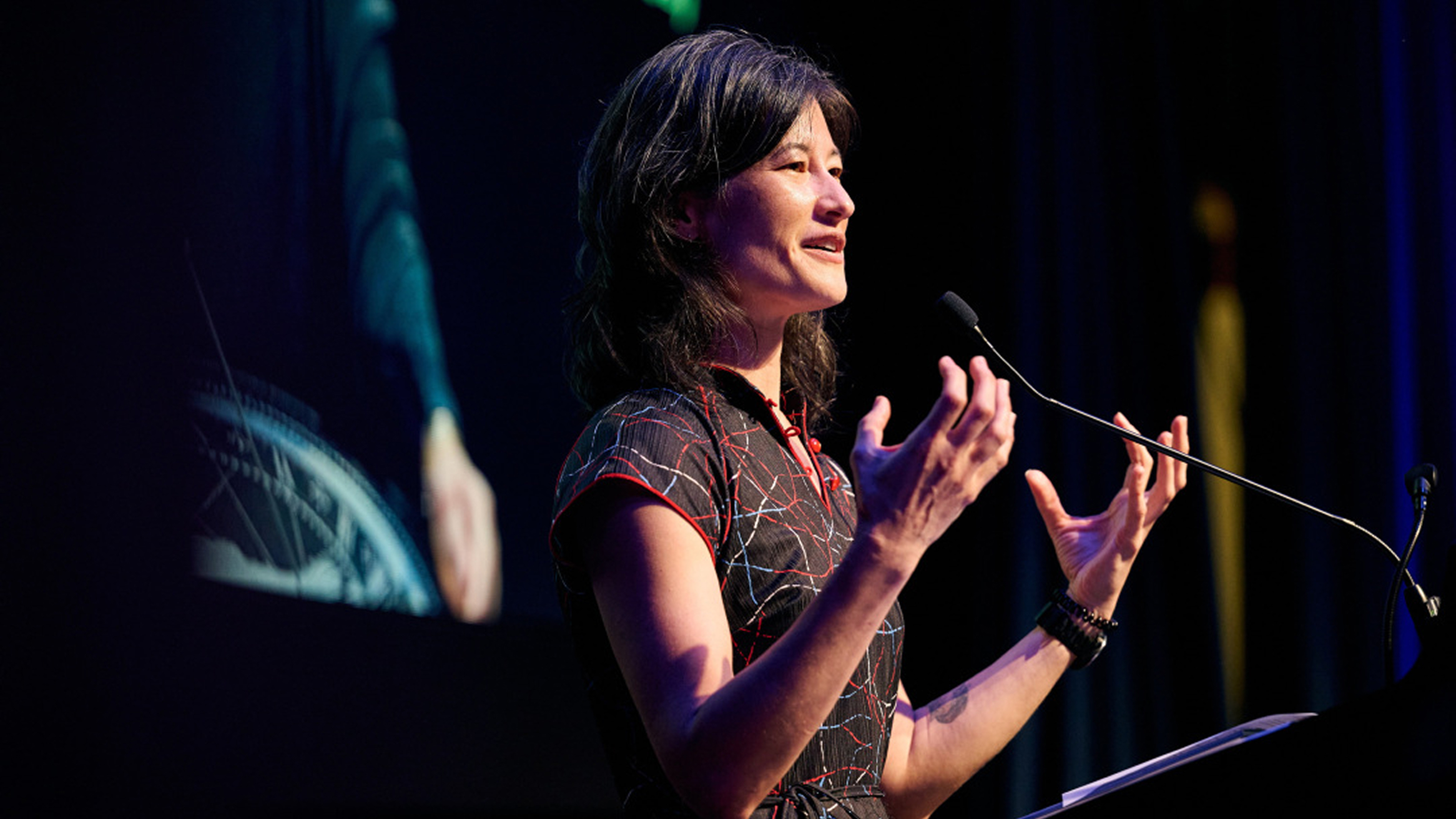 A speaker giving a talk