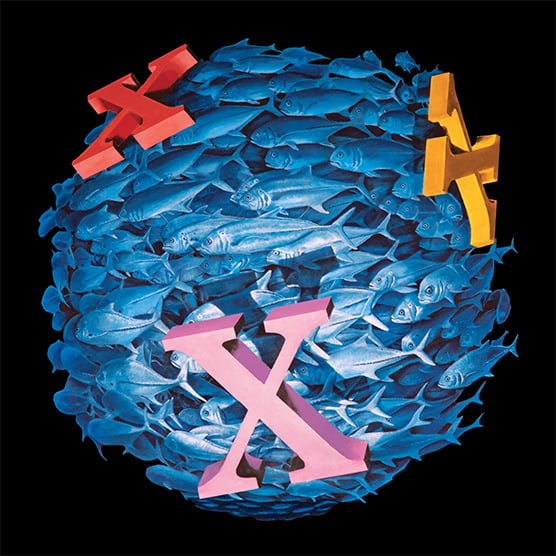 A school of fish form a sphere with three letter Xs on top