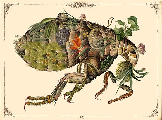 A flea composed of plants and flowers