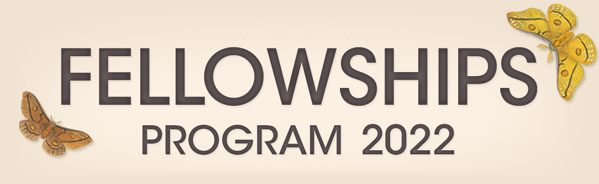 The words 'Fellowships Program 2022' on a beige background, with two butterflies on either side