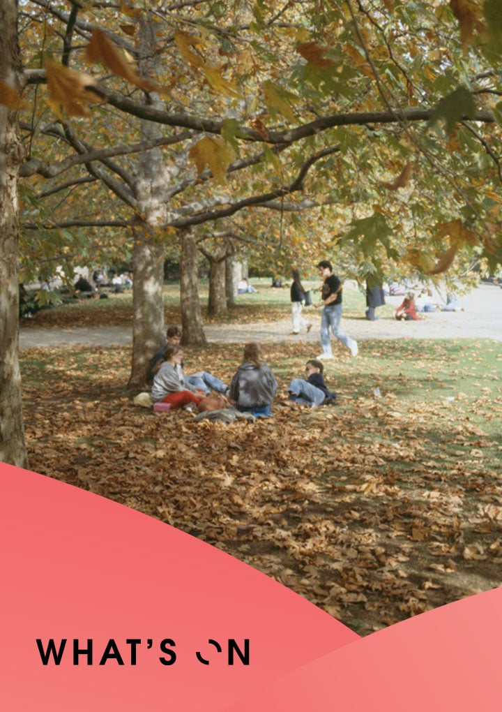 Red overlay with the text 'what's on' featuring image of group of people sitting in a park with falling leaves surrounding them