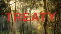 Image of the bush with the words 'Treaty' overlaid