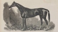 Wood engraving of the Melbourne Cup 1884, from the 'Illustrated Australian News'