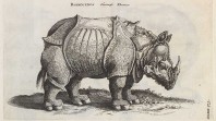 'Historiae naturalis de quadrupedibus', by Joannes Jonstonus