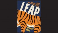 Cover of Leap by Myfanwy Jones