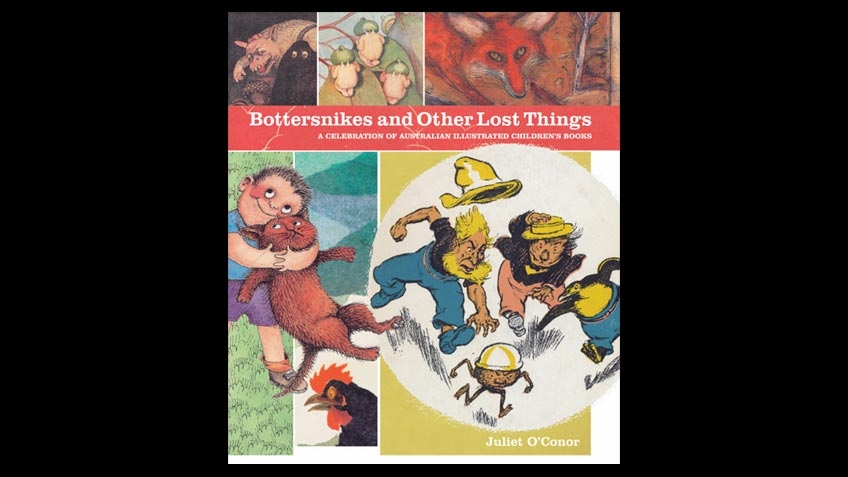 Cover of Bottersnikes & other lost things