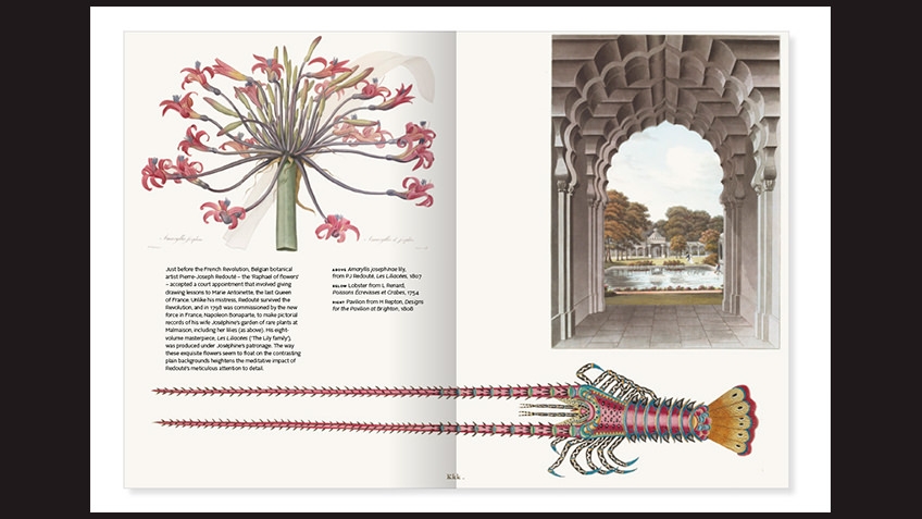 black background with double page spread with text and images including crustacean and flowers
