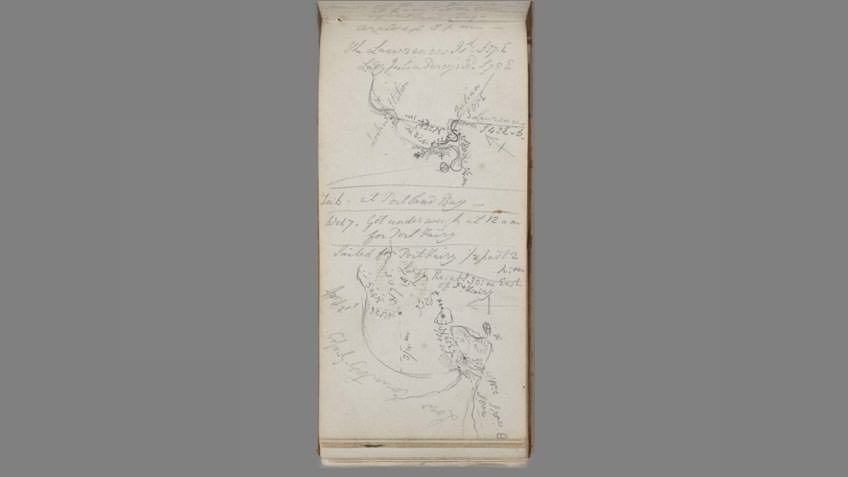 Page from the field book of John Helder Wedge