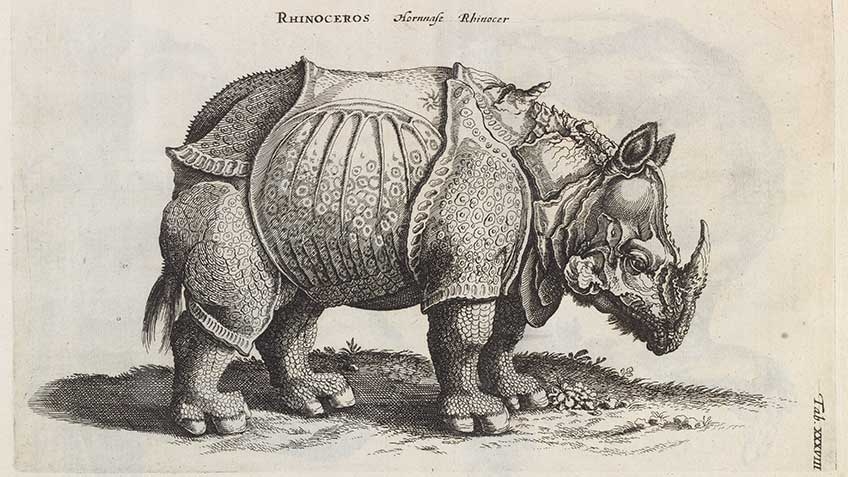 'Historiae naturalis de quadrupedibus', by Joannes Jonstonus