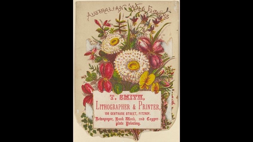 Printed image of Australian wild flowers 