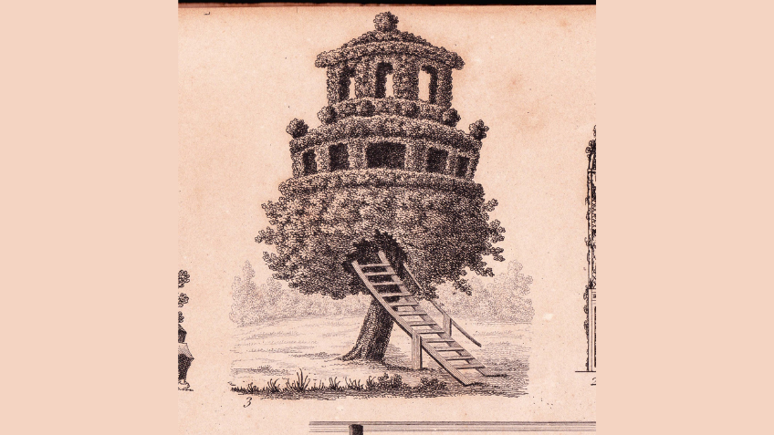 Drawing of a tree house