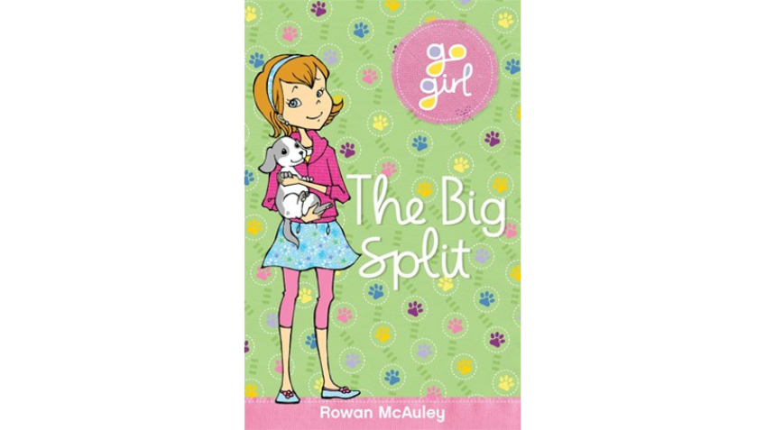 Front cover of The Big Split