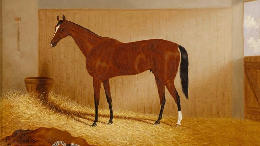 1889 painting of Carbine, by Frederick Woodhouse Jnr