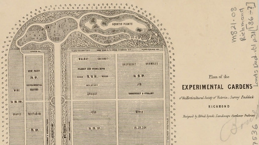 Plan of the experimental gardens of the Horticultural Society of Victoria, survey paddock, Richmond, c 1860