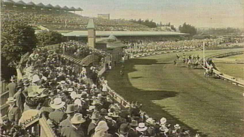Postcard of Flemington racecourse c 1906