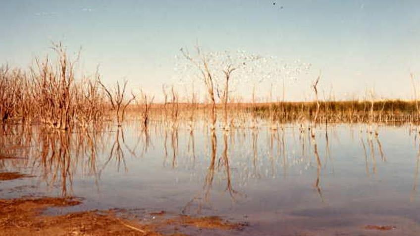 South Swamp, Sunraysia, 1970, photo from State Rivers and Water Supply Commission