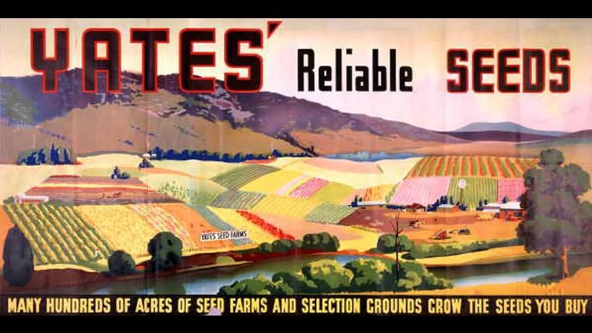 Yates' Reliable Seeds, c 1930