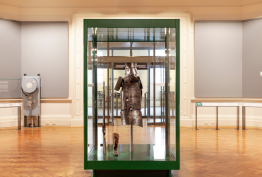 Glass display cabinet with armour inside