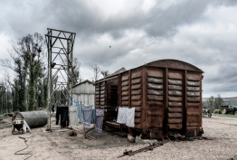 Window on Collections hero A burnt out train carriage with grey skies behind it