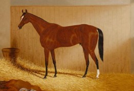 1889 painting of Carbine, by Frederick Woodhouse Jnr 1889 painting of Carbine, by Frederick Woodhouse Jnr