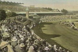 Postcard of Flemington racecourse c 1906