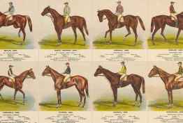 Detail from Melbourne Cup Winners Australia 1861-1902, colour photolithograph poster by GL Whiteley, 1902 Detail from Melbourne Cup Winners Australia by GL Whiteley 1902