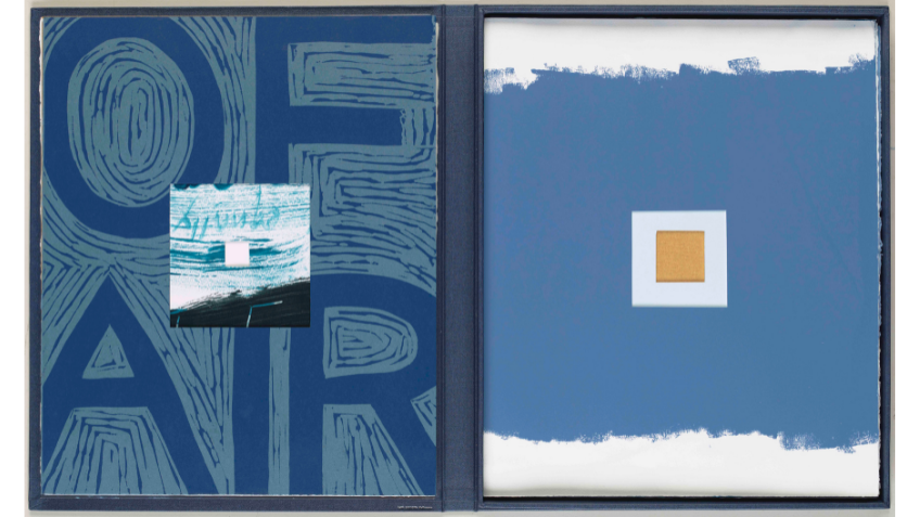 Two blue book covers