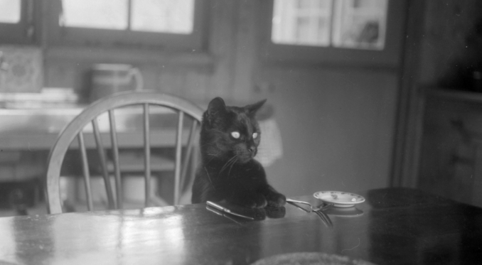 Black and white photo of a cat sitting at a table